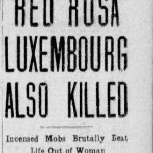 Winnipeg Tribune, January 17, 1919. UML.